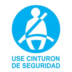 calcomania-use-cinturon-de-seguridad-15381-MLV20101351957_052014-F
